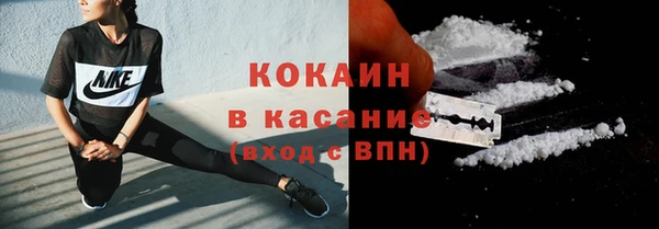 гидропоника Гусев