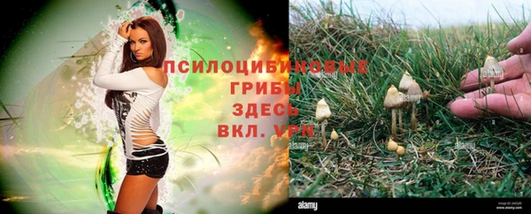 винт Гусиноозёрск