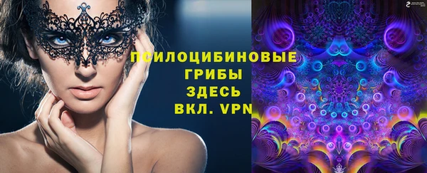 винт Гусиноозёрск