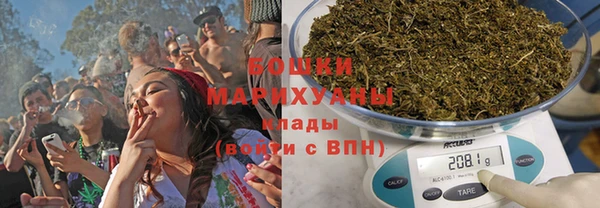 винт Гусиноозёрск
