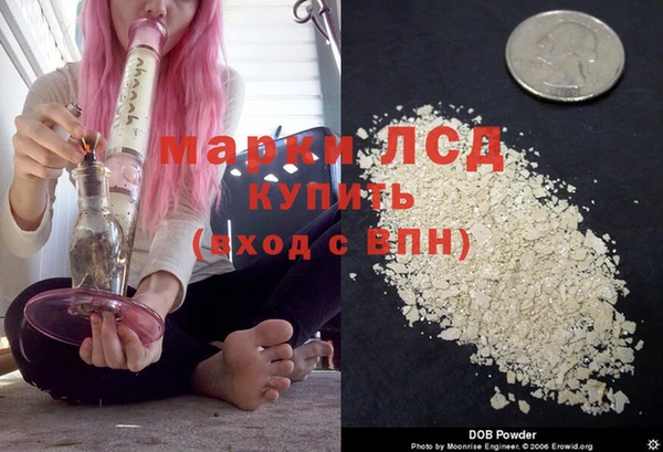 гидропоника Гусев