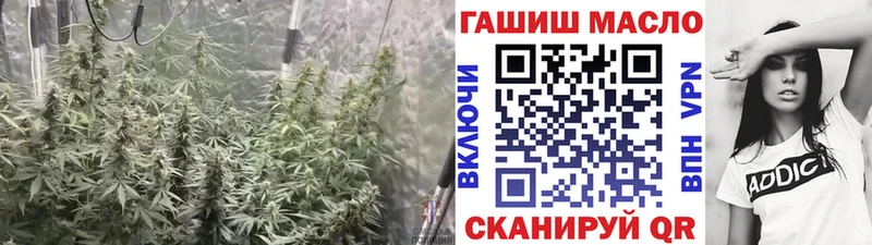 купить наркотик  даркнет формула  ТГК жижа  Чита 