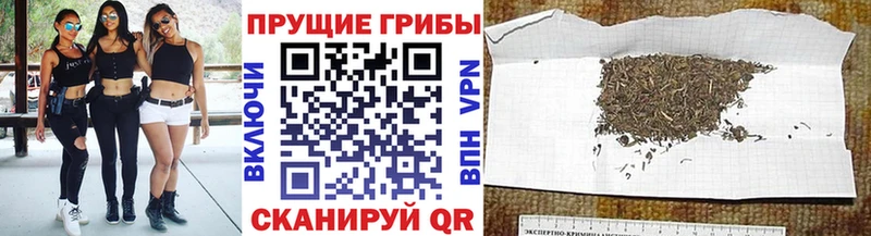 Псилоцибиновые грибы прущие грибы  Чита 